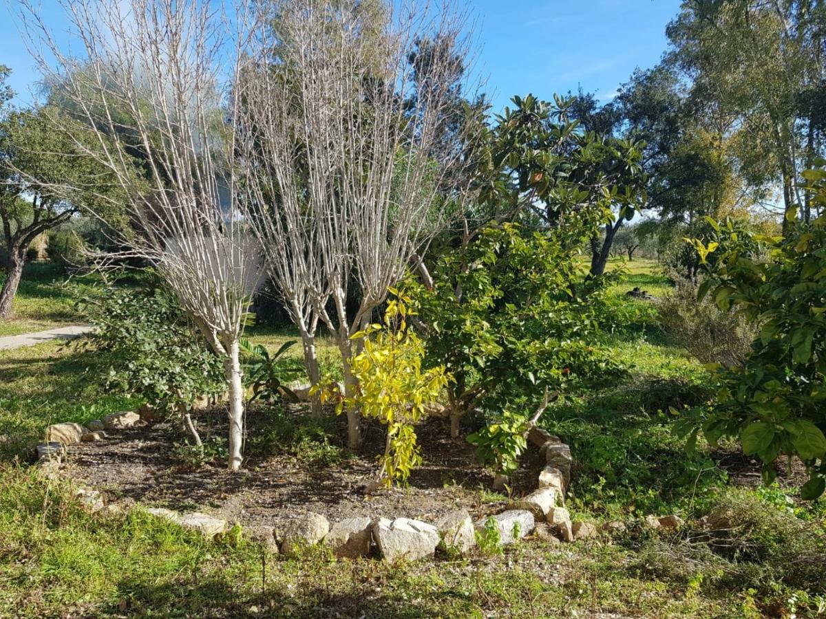 Mimosa Bilocale Cala Liberotto Buitenkant foto