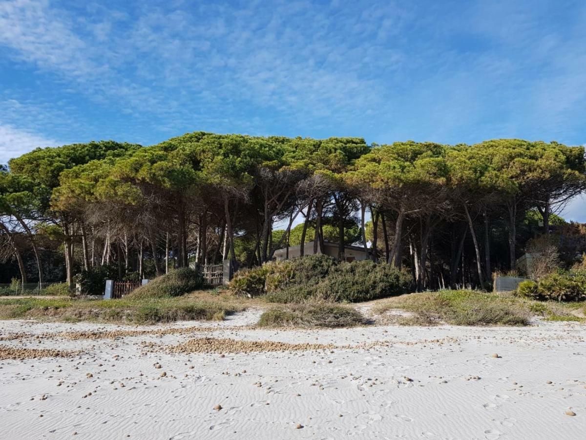 Mimosa Bilocale Cala Liberotto Buitenkant foto