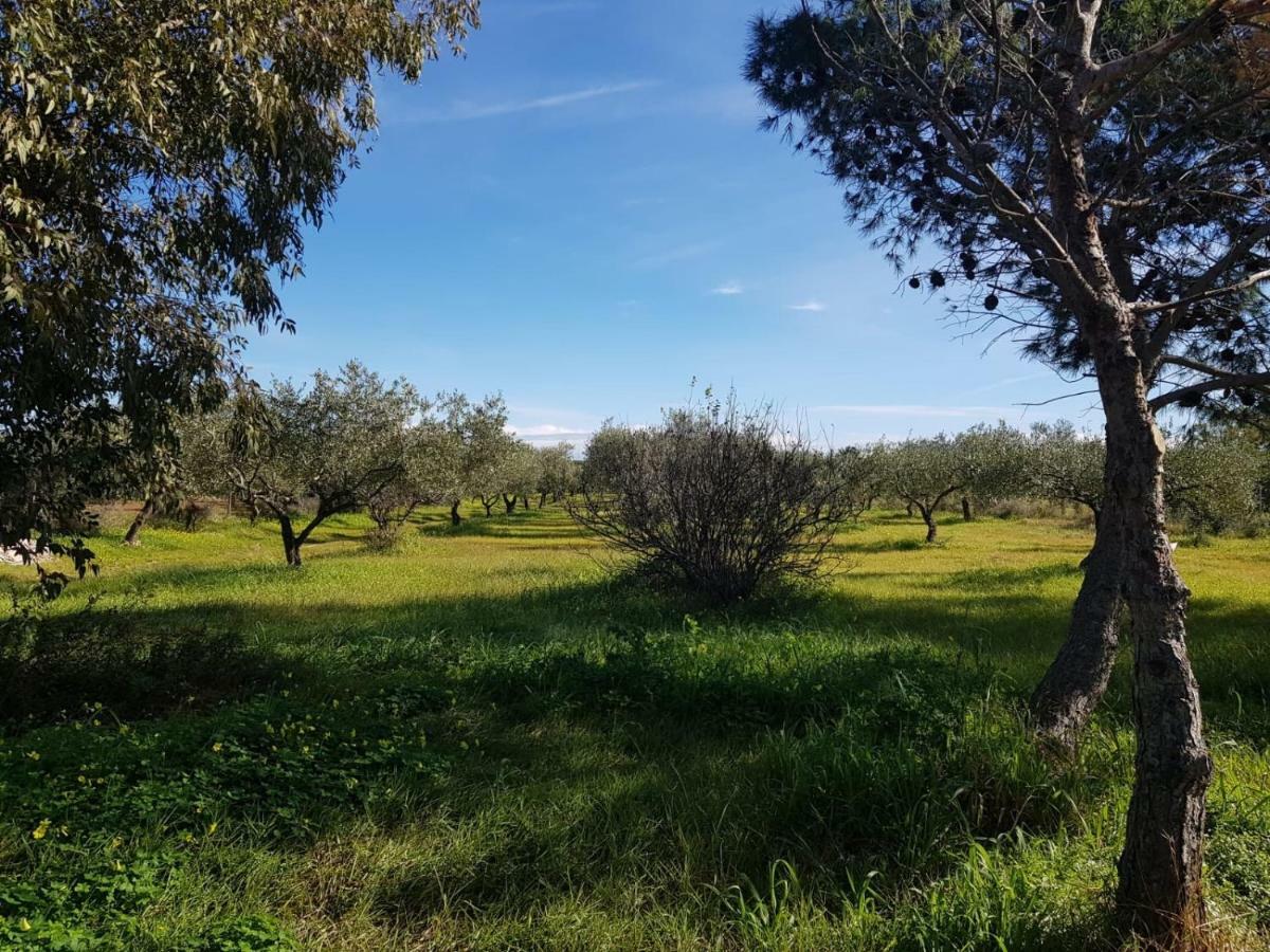 Mimosa Bilocale Cala Liberotto Buitenkant foto