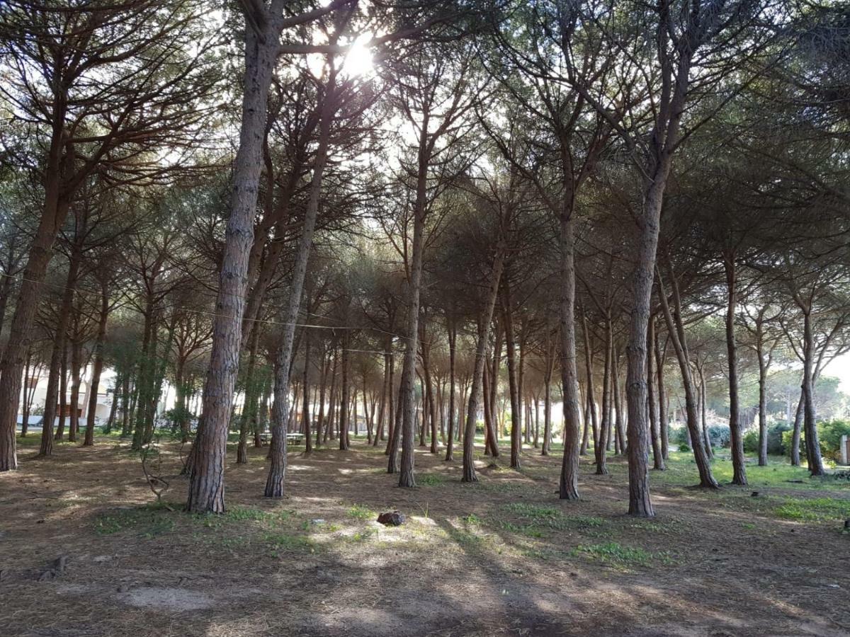 Mimosa Bilocale Cala Liberotto Buitenkant foto