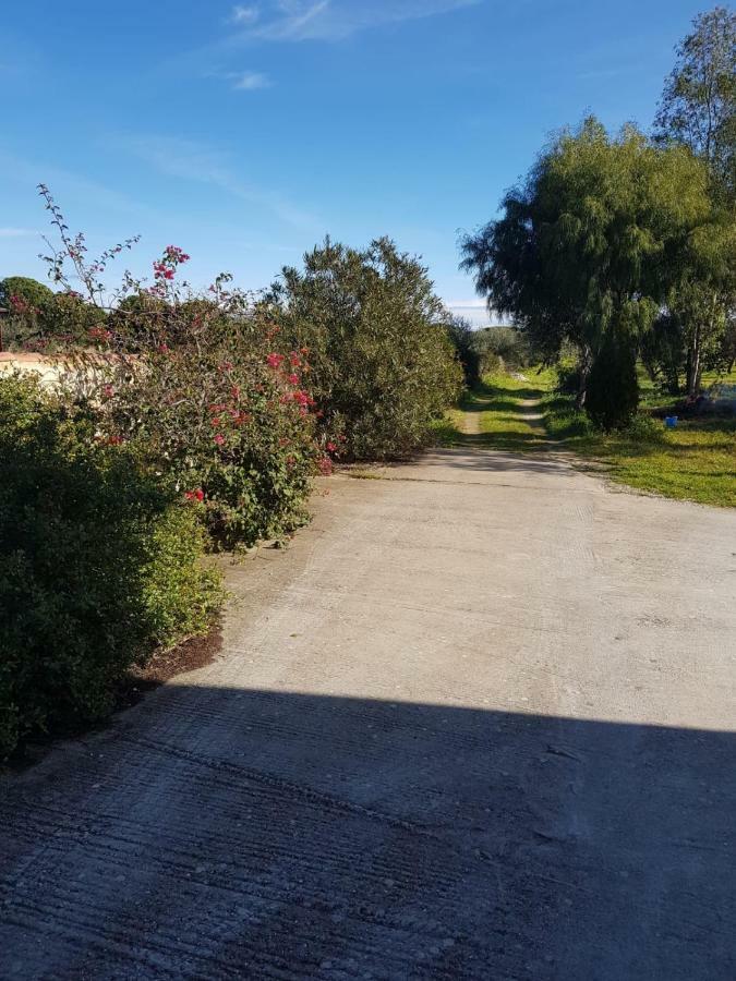 Mimosa Bilocale Cala Liberotto Buitenkant foto