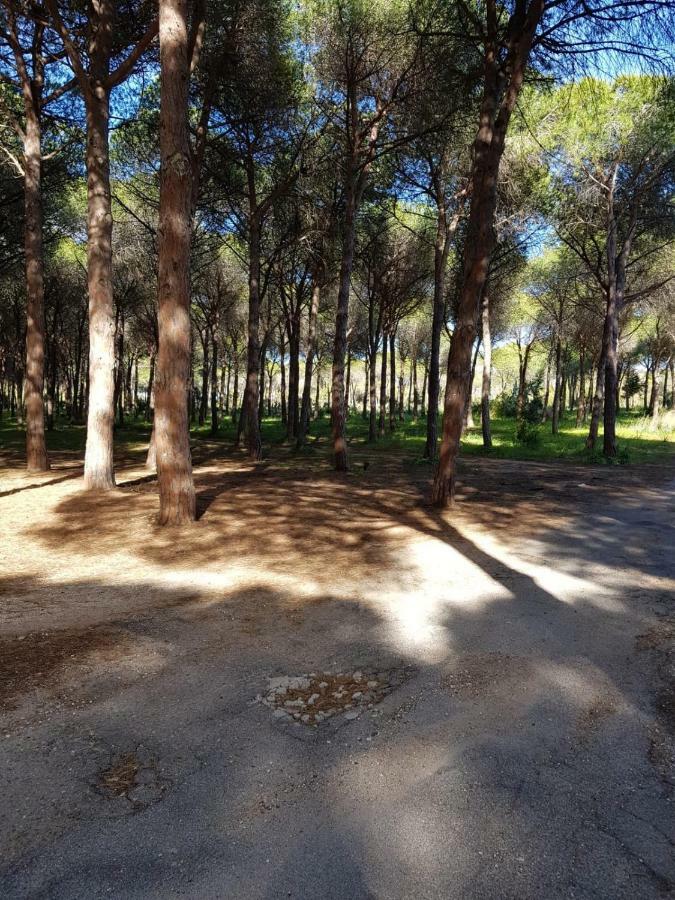 Mimosa Bilocale Cala Liberotto Buitenkant foto