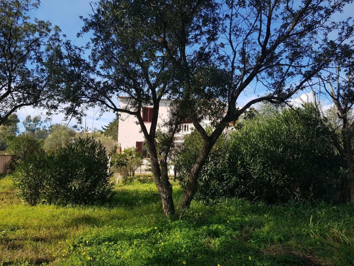 Mimosa Bilocale Cala Liberotto Buitenkant foto