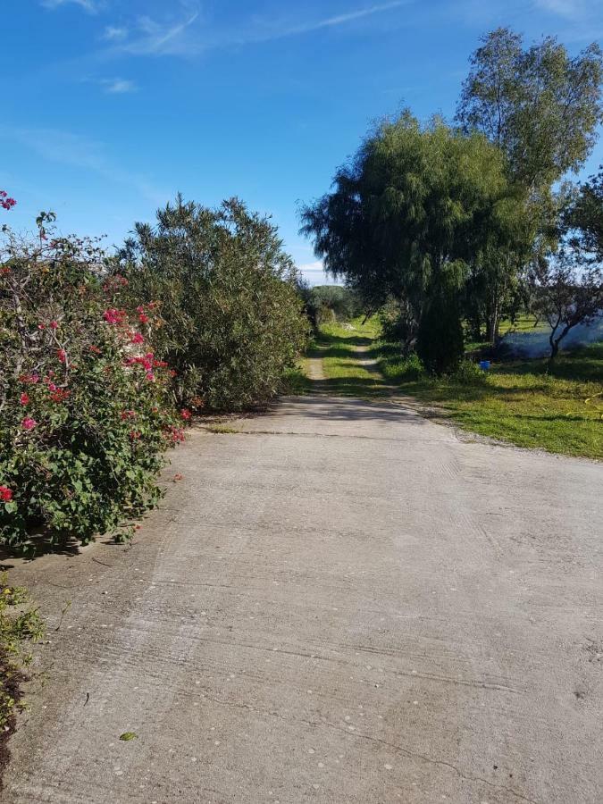 Mimosa Bilocale Cala Liberotto Buitenkant foto