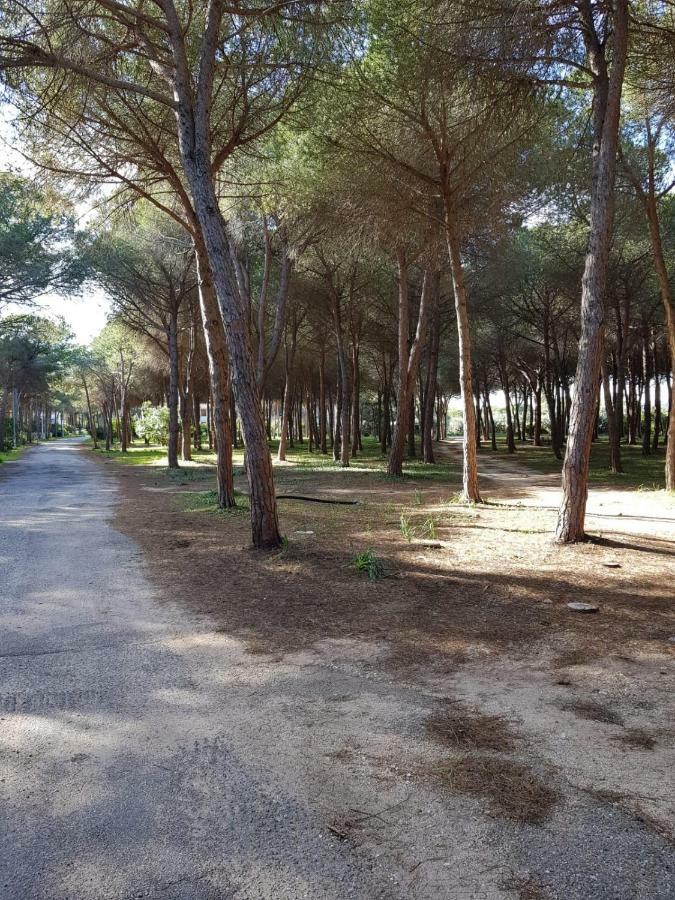 Mimosa Bilocale Cala Liberotto Buitenkant foto